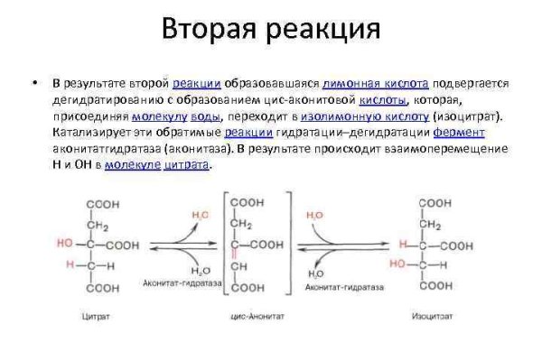 Кракен маркетплейс тор