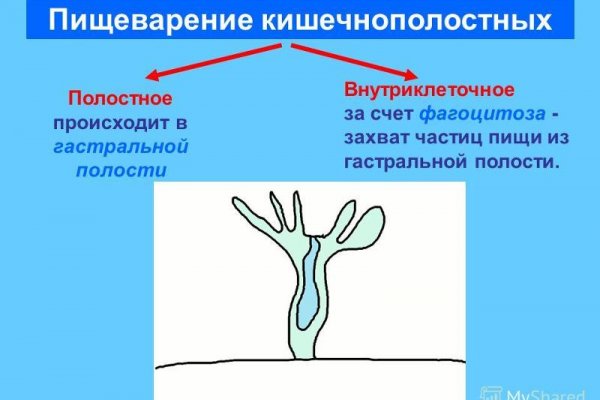 Кракен даркнет маркет плейс