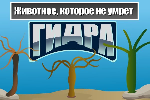 Kraken ссылка tor